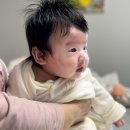 슬립앤슬립천안두정점 | 아기키우는집 침구교체 천안이불 이브자리 구매 후기