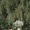 다정다온 이미지