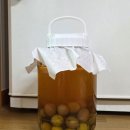 31호일도수산 | (홈메이드) 매실 담금주 만들기 레시피 & 1년 숙성 매실주 시음 후기
