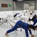 주짓수코어화명수정짐