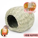 새둥지