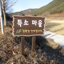 가목 이미지