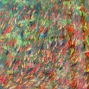 물고기마을 이미지