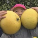 일본어회화 초급 이미지