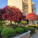 산북공인중개사사무소 이미지