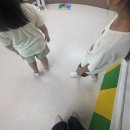 한여름밤의 콘서트 | 한여름 밤의 콘서트