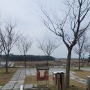 노을빛 정원 | 전북 부안 캠핑장 추천 '줄포만노을빛정원캠핑장' 7호 사이트 정보 및 후기(벚꽃 캠핑장)