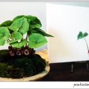 계양아트갤러리 이미지