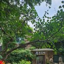 산모퉁이그곳 이미지