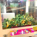 엽이오락실 이미지