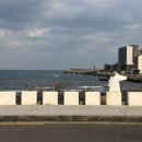 오션팔레드 이미지