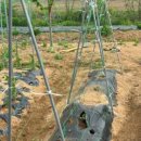 주대농장 이미지