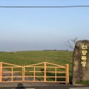 선양목장 이미지