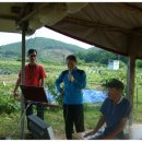 주사랑 농장 이미지