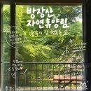 전남 장성 방장산 자연휴양림 숲속의 집 행복동 후기