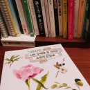 수채화 캘리그라피(주간) 네이버블로그