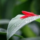 마음다짐 이미지