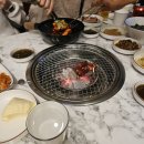 낭만고양이병원 | [~2025.12.19] 사랑? 못함❌ 낭만? 없음❌ 젊음? 늙는...ing