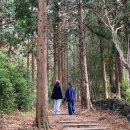 제일수산 분식 이미지