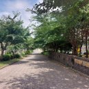 삼화제2근린공원 이미지