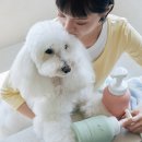고그린오브젝트