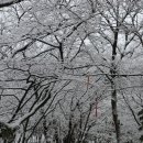 한라상 설경 이미지