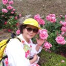 태릉입구역 8번출구 이미지