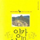 안데스 Daum카페