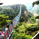 原川小金山大峽谷~~ 출렁다리 & 하늘정원 ,울렁다리 ,棧道길 이미지