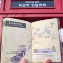 국토종주자전거길1-226 네이버블로그
