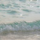 시재시재 이미지