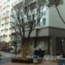 [아파트 월세- 당산동] 영등포구 당산동 신동아파밀리에 월세 입니다. (5000/130만원) 12월 22일 이후 입주 가능. 이미지