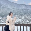 오동동문화거리(오동동상인연합) | [버스 투어] 일본 나고야 근교 소도시 여행 "히다 다카야마" 당일치기 후기 (필수 코스, 맛집, 기념품)