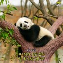 오늘의반점 이미지