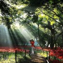 여심(女心) 이미지