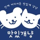 맛있개냥 이미지