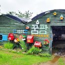 향긋농장 이미지