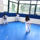 경희대금호태권도장 이미지