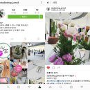 롯데홈쇼핑스튜디오샵 이미지