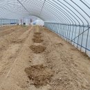 가리점친환경영농조합법인 이미지