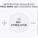 빈웨이브