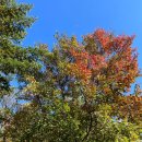 삼성키즈빌어린이집 | [경기 용인] 아이랑 가기 좋은 곳 에버랜드 주말 방문 후기