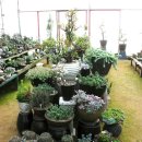 오현농장 이미지