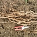 행복한농부 이미지