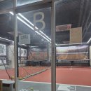 가네초밥 | 11월 첫째주 일상 모음 가을도 끝나가네