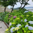 사천갑부공인중개사사무소 이미지