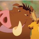 하쿠나 마타타 이미지