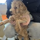 소리천로(1) | [파주놀거리 추천] 실내 동물원이 있다?! <테이블에이> 후기