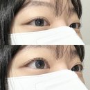 본도시락 하남미사점 | [하남 미사] 지속력 좋은 속눈썹 전문 뷰티샵, 스튜디오 플랑 / 재방문 후기