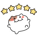 벨리워치 이미지